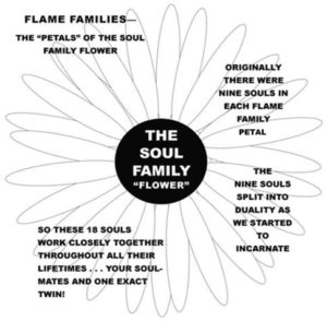 soul family flower